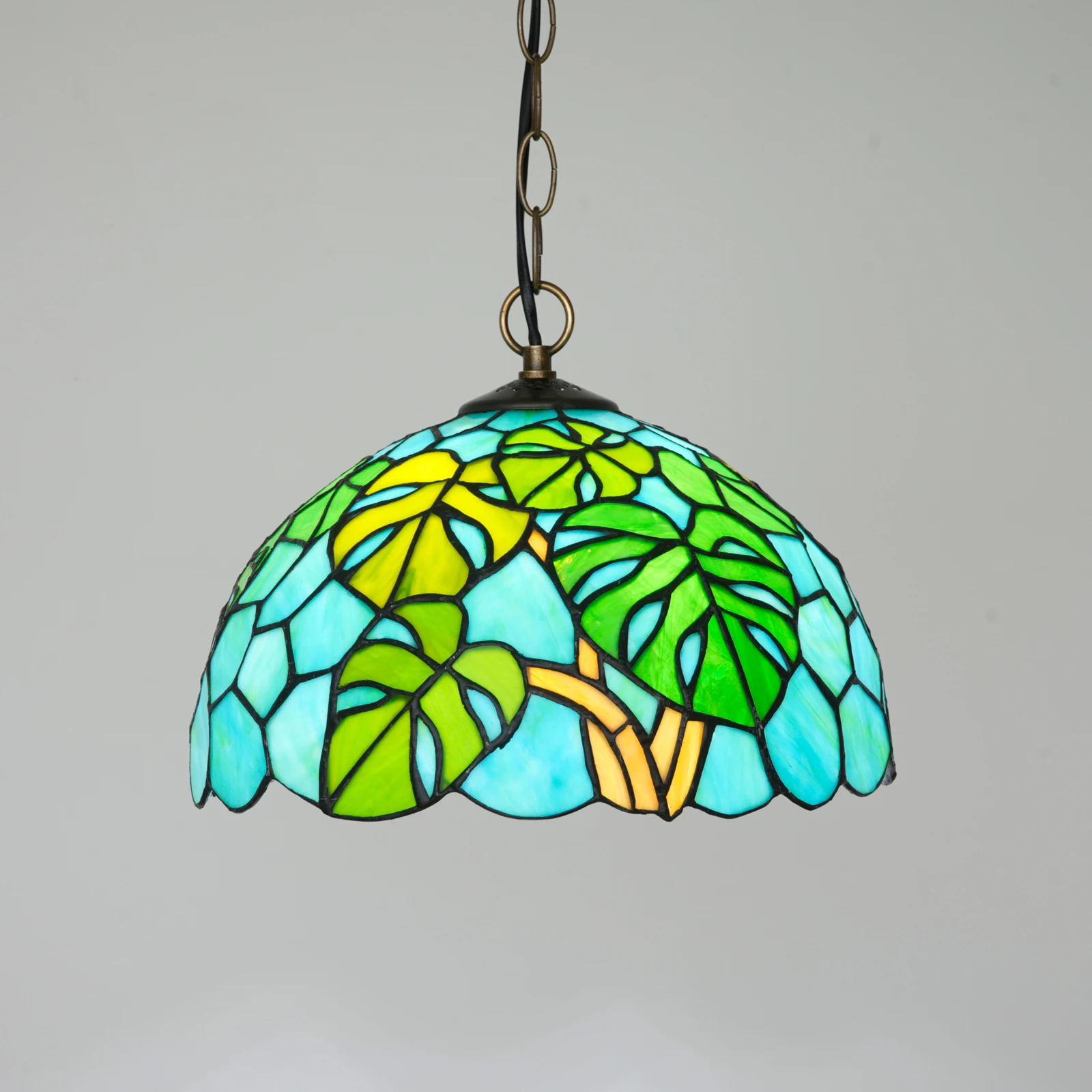 Modern Pendant Light fixtures ,Monstera deliciosa Stained Glass Ceiling Hanging Lamp for Dining Room Kitchen Island Study Hallwa
Modern Pendant Light fixtures ,Monstera deliciosa Stained Glass Ceiling Hanging Lamp for Dining Room Kitchen Island Study Hallwa