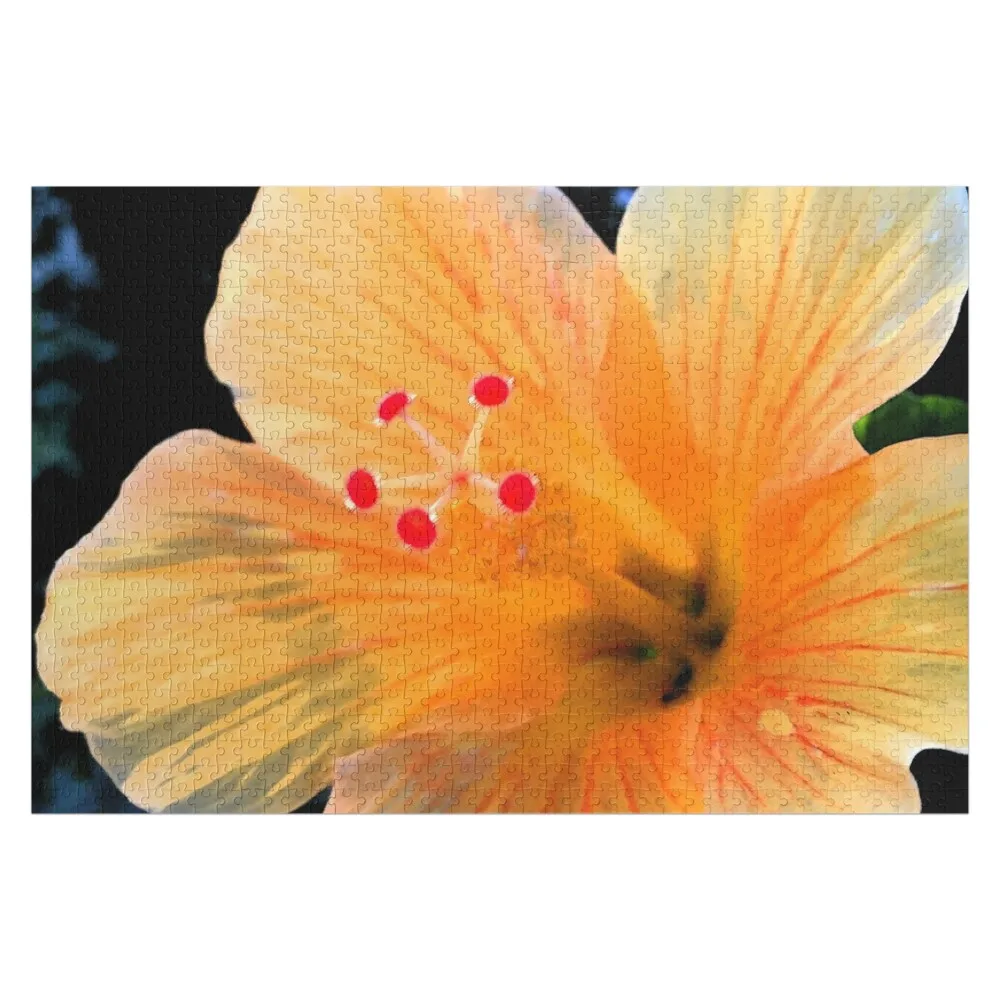 Hibiscus Dark (MKW-F.66) Jigsaw Puzzle Custom Wooden Adults Custom Jigsaw Customizable Child Gift Puzzle
Hibiscus Dark (MKW-F.66) Jigsaw Puzzle Custom Wooden Adults Custom Jigsaw Customizable Child Gift Puzzle