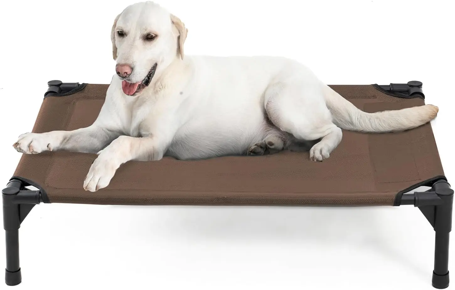 Поднятая кровать для больших собак, прочная кроватка для домашних животных до 120 фунтов, моющаяся сетчатая кровать для собак в помещении и на открытом воздухе, коричневая
Поднятая кровать для больших собак, прочная кроватка для домашних животных до 120 фунтов, моющаяся сетчатая кровать для собак в помещении и на открытом воздухе, коричневая