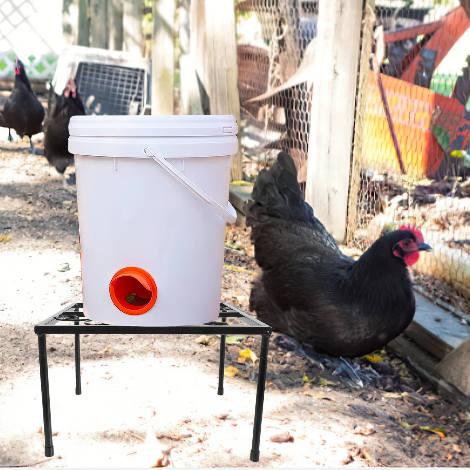 Chicken Feeder Stand Metal Black Square Poultry Feeding Bowl Holder Durable Stable Easy Assemble Maintain Coop Accessories
Chicken Feeder Stand Metal Black Square Poultry Feeding Bowl Holder Durable Stable Easy Assemble Maintain Coop Accessories