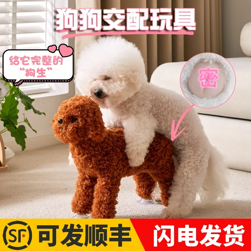 Bigbear teddy dog in rut toy male dog mating puppy masturbating self-hi significant other female dog
Bigbear teddy dog in rut toy male dog mating puppy masturbating self-hi significant other female dog