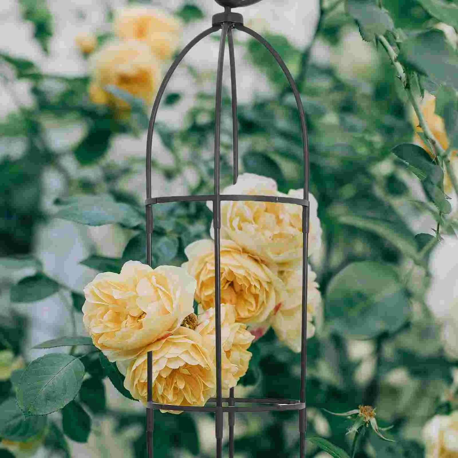Gardening Stand Decorative Plant Trellis for Climbing Plants Orchid Racks Potted Metal Supports Multi-use to
Gardening Stand Decorative Plant Trellis for Climbing Plants Orchid Racks Potted Metal Supports Multi-use to