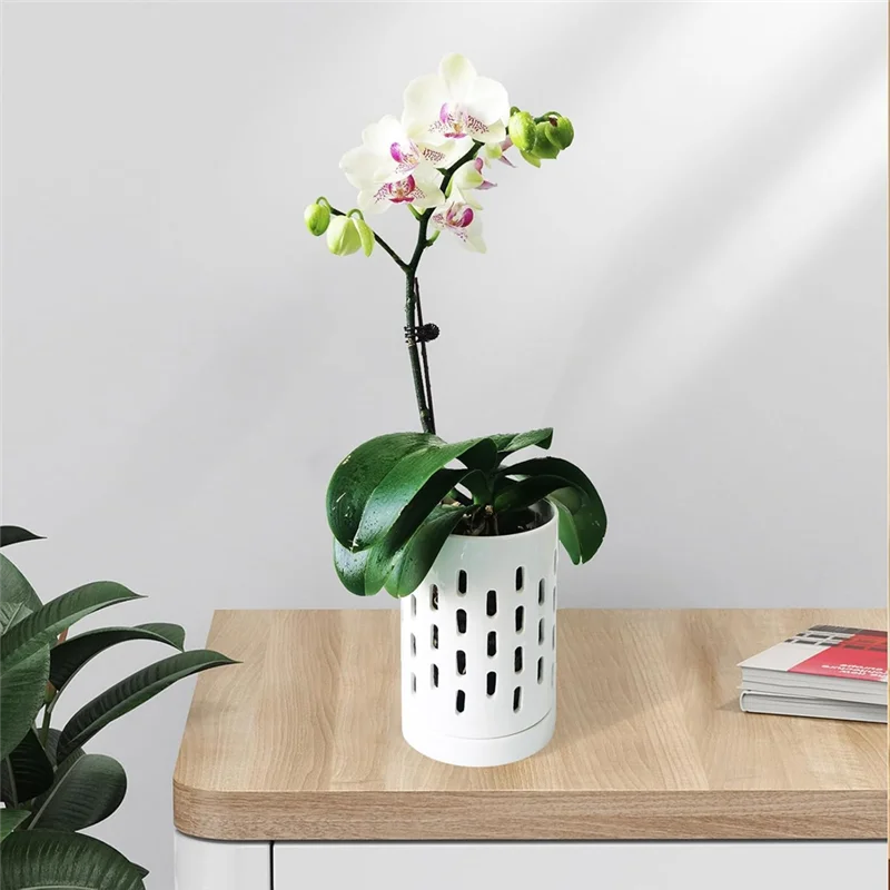 A04G-Orchid Pots Withholes Orchid Pots Clear Orchid Pots Orchid Pot Orchid Pots Withdrainage
A04G-Orchid Pots Withholes Orchid Pots Clear Orchid Pots Orchid Pot Orchid Pots Withdrainage