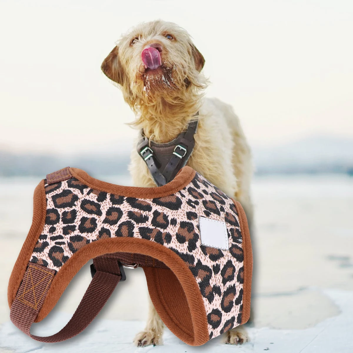 Dog Harness Pet Chest Back Leopard Print Cooling Vest Adjustable Quick Release D Ring Easy Wear Walking
Dog Harness Pet Chest Back Leopard Print Cooling Vest Adjustable Quick Release D Ring Easy Wear Walking