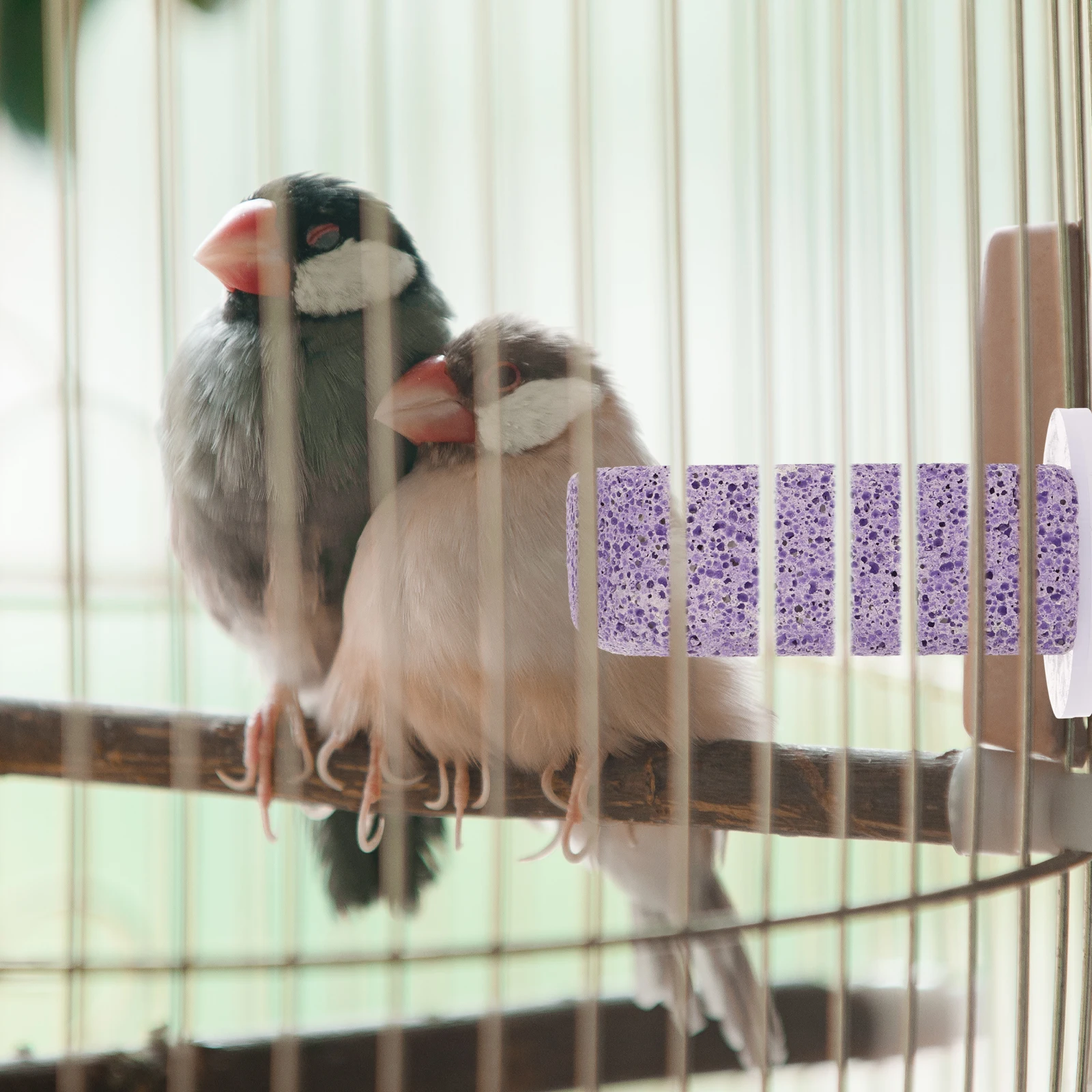Parrot Perch Accessories Bird Cage Toy Platform Pumice Perches Grape Purple Sturdy Practical Standing Rack Cockatiel Budgie
Parrot Perch Accessories Bird Cage Toy Platform Pumice Perches Grape Purple Sturdy Practical Standing Rack Cockatiel Budgie