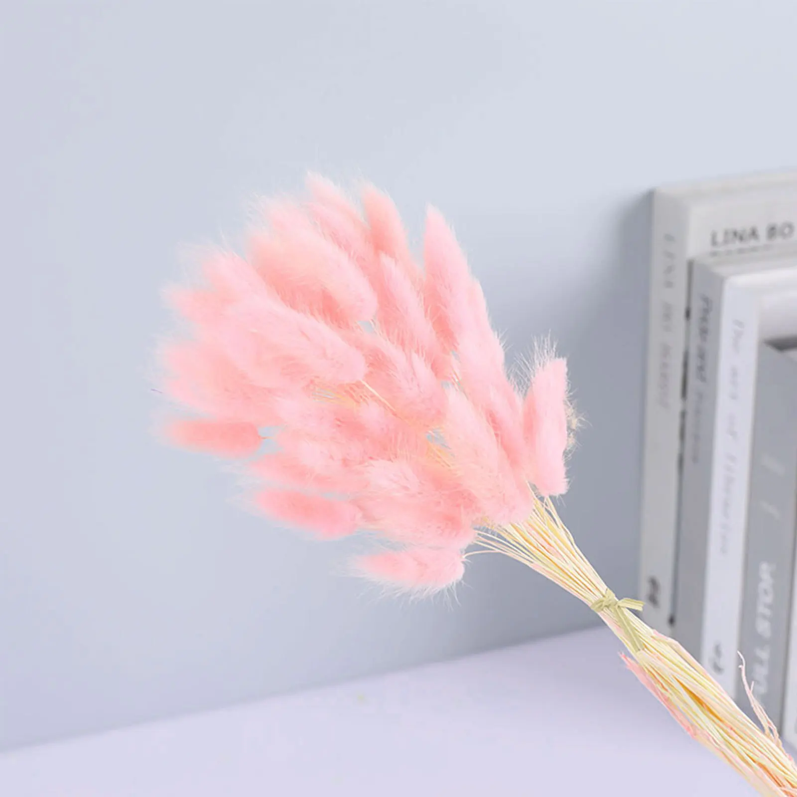 120Pcs Natural Rabbit Tail Dried Grass Decorative Stems Rustic Home Wedding Bouquet Floral Arrangement DIY Decoration 
120Pcs Natural Rabbit Tail Dried Grass Decorative Stems Rustic Home Wedding Bouquet Floral Arrangement DIY Decoration