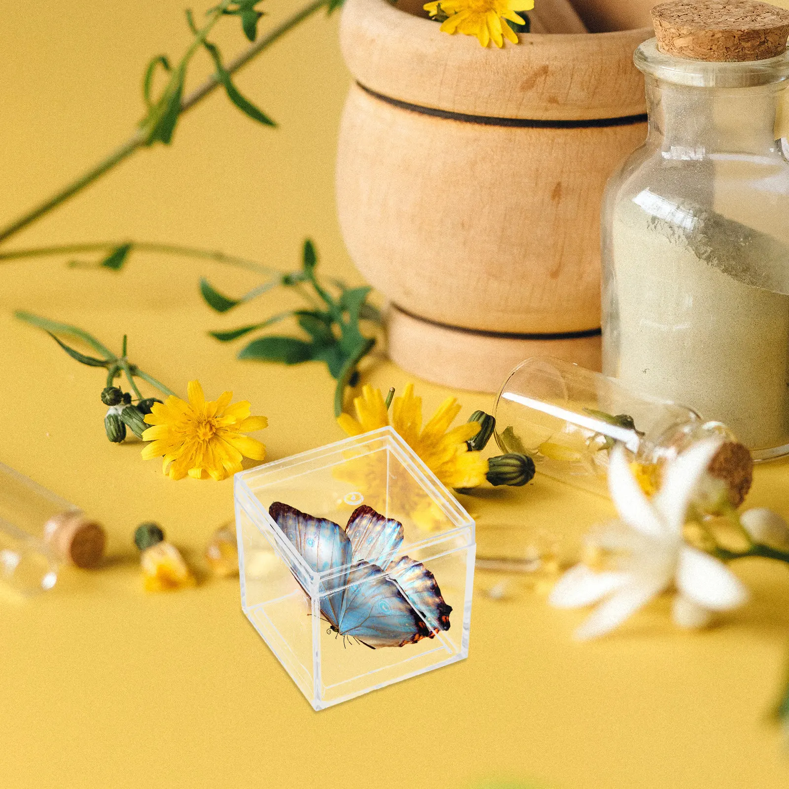 12Pcs Transparent Plastic Specimen Display Box 30Ml High Durability Stackable Clear Organizer for Mineral Stones Beads Lab
12Pcs Transparent Plastic Specimen Display Box 30Ml High Durability Stackable Clear Organizer for Mineral Stones Beads Lab