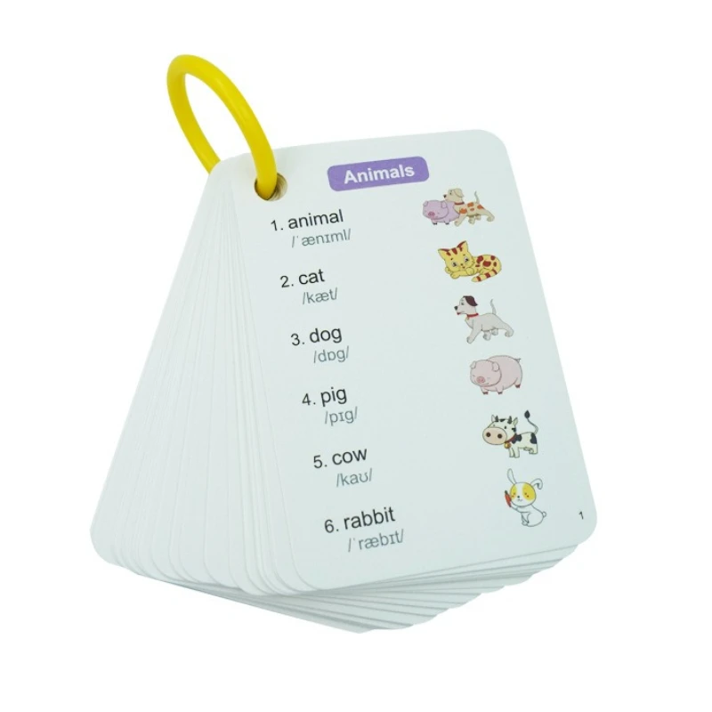 1200 Words in Primary School English, Study Cards, Pupils Can Take Shorthand and Read Phrase Cards At A Glance
1200 Words in Primary School English, Study Cards, Pupils Can Take Shorthand and Read Phrase Cards At A Glance