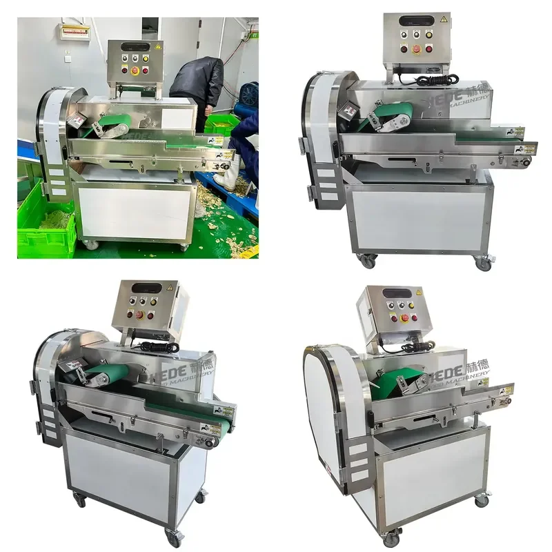 2026 Commercial Leafy Vegetable Cutter Spinach and Celery Cutter Multi-function Factory Price
2026 Commercial Leafy Vegetable Cutter Spinach and Celery Cutter Multi-function Factory Price