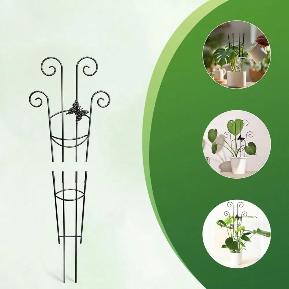 Trellis For Climbing Plants Indoor, Expandable Garden Metal Trellis For Potted Plants, Climber Support Stakes
Trellis For Climbing Plants Indoor, Expandable Garden Metal Trellis For Potted Plants, Climber Support Stakes