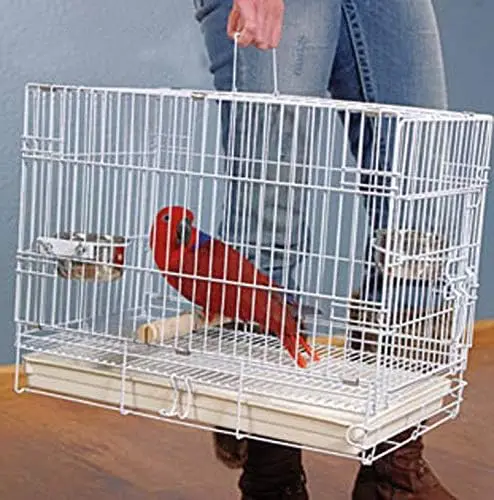 Portable Large Metal Bird Carrier Cage for Travel or Vet, Collapsible with Pull Out Tray, Stainless Steel Bowls, Wooden Perch
Portable Large Metal Bird Carrier Cage for Travel or Vet, Collapsible with Pull Out Tray, Stainless Steel Bowls, Wooden Perch
