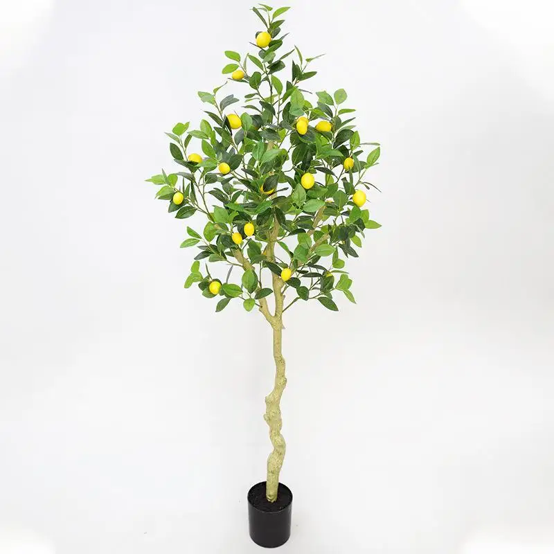 120cmNordic Style Large Floor Decorations Simulated Lemon Tree Potted Plant Fake Tree Greenery Indoor Living Room Decor
120cmNordic Style Large Floor Decorations Simulated Lemon Tree Potted Plant Fake Tree Greenery Indoor Living Room Decor