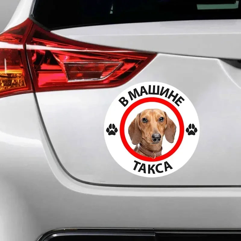 Car sausage, self-adhesive stickers, waterproof, bumper decoration, rear window beauty, scratch coverage
Car sausage, self-adhesive stickers, waterproof, bumper decoration, rear window beauty, scratch coverage