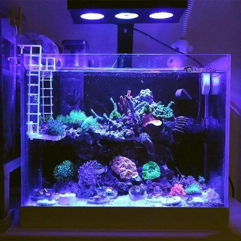 Spectra Nano M029 Aquarium Light 30W Saltwater Lighting with Touch Control for Coral Reef Fish Tank saltwater LED lamp
Spectra Nano M029 Aquarium Light 30W Saltwater Lighting with Touch Control for Coral Reef Fish Tank saltwater LED lamp