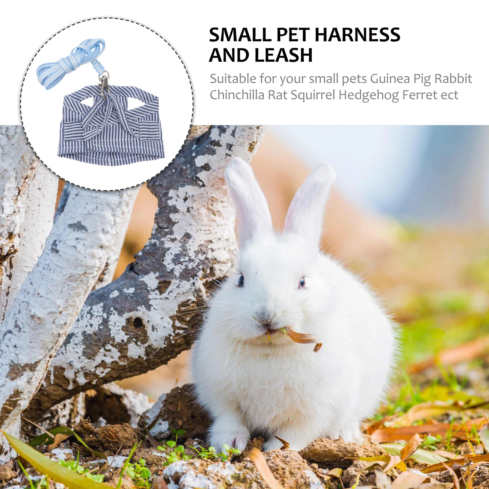 Small Pet Guinea Harness and Leash Cotton Stripe Chest Strap Vest for Animals Guinea Pig Chinchilla Rabbit Rat Squirr
Small Pet Guinea Harness and Leash Cotton Stripe Chest Strap Vest for Animals Guinea Pig Chinchilla Rabbit Rat Squirr