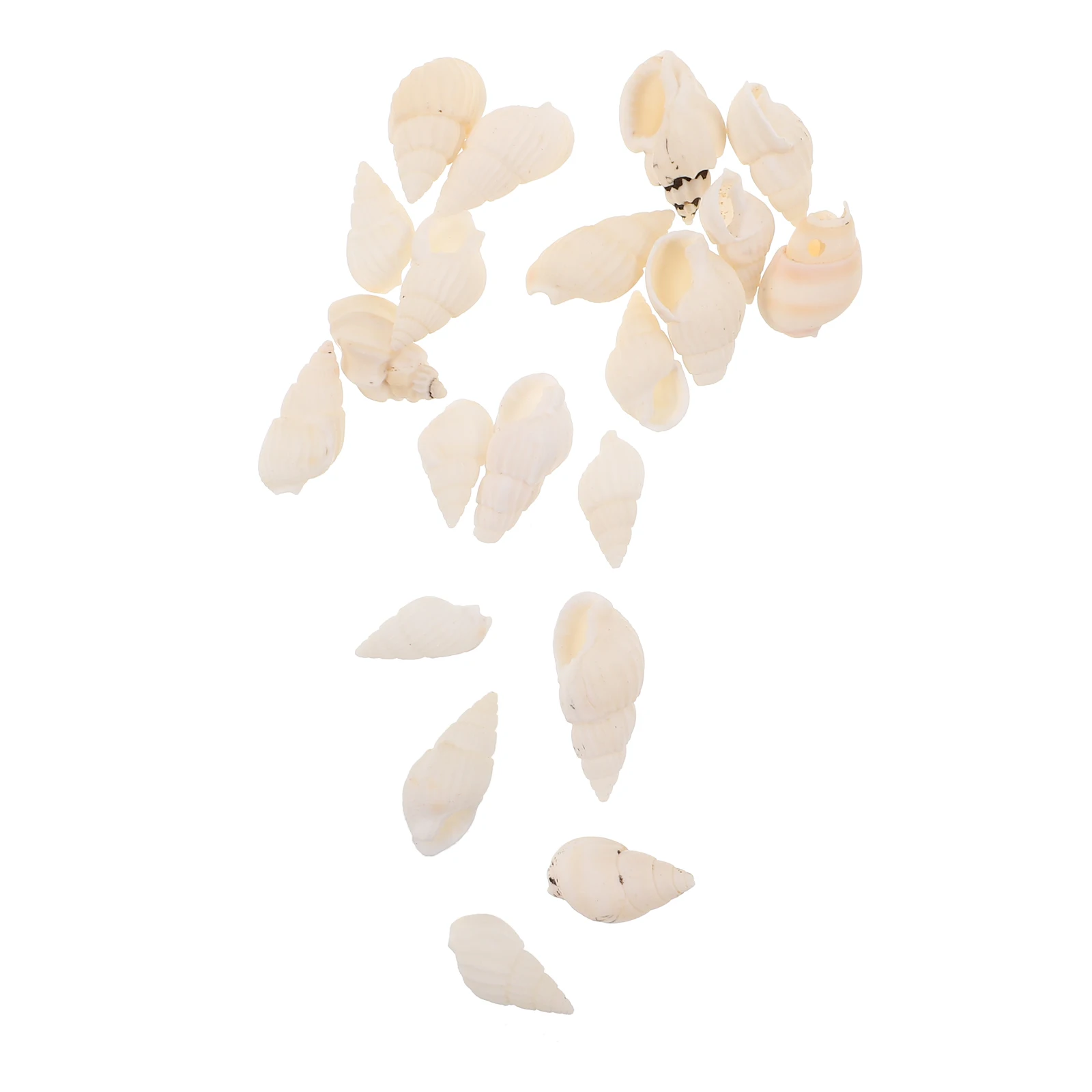 20 Pcs Dripping Decoration White Spiral Seashells Supplies Ocean Themed DIY Ornaments Mini Rice Snail Beads
20 Pcs Dripping Decoration White Spiral Seashells Supplies Ocean Themed DIY Ornaments Mini Rice Snail Beads