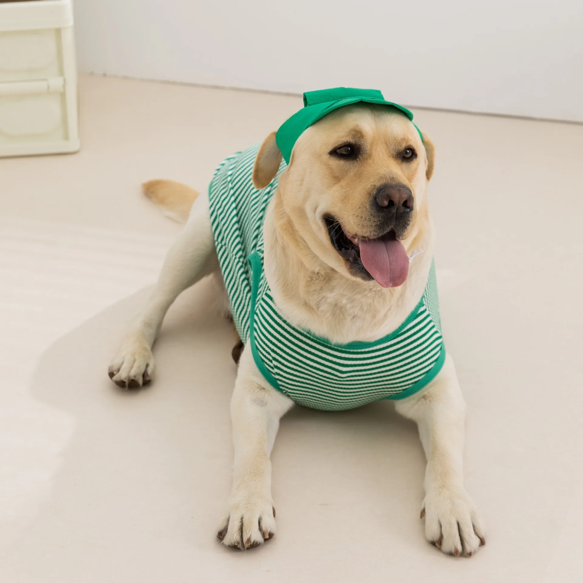 Dog Clothes with Hat Large Dog Golden Retriever Striped Vest Thin Breathable Pet Sun Protection T-Shirt
Dog Clothes with Hat Large Dog Golden Retriever Striped Vest Thin Breathable Pet Sun Protection T-Shirt