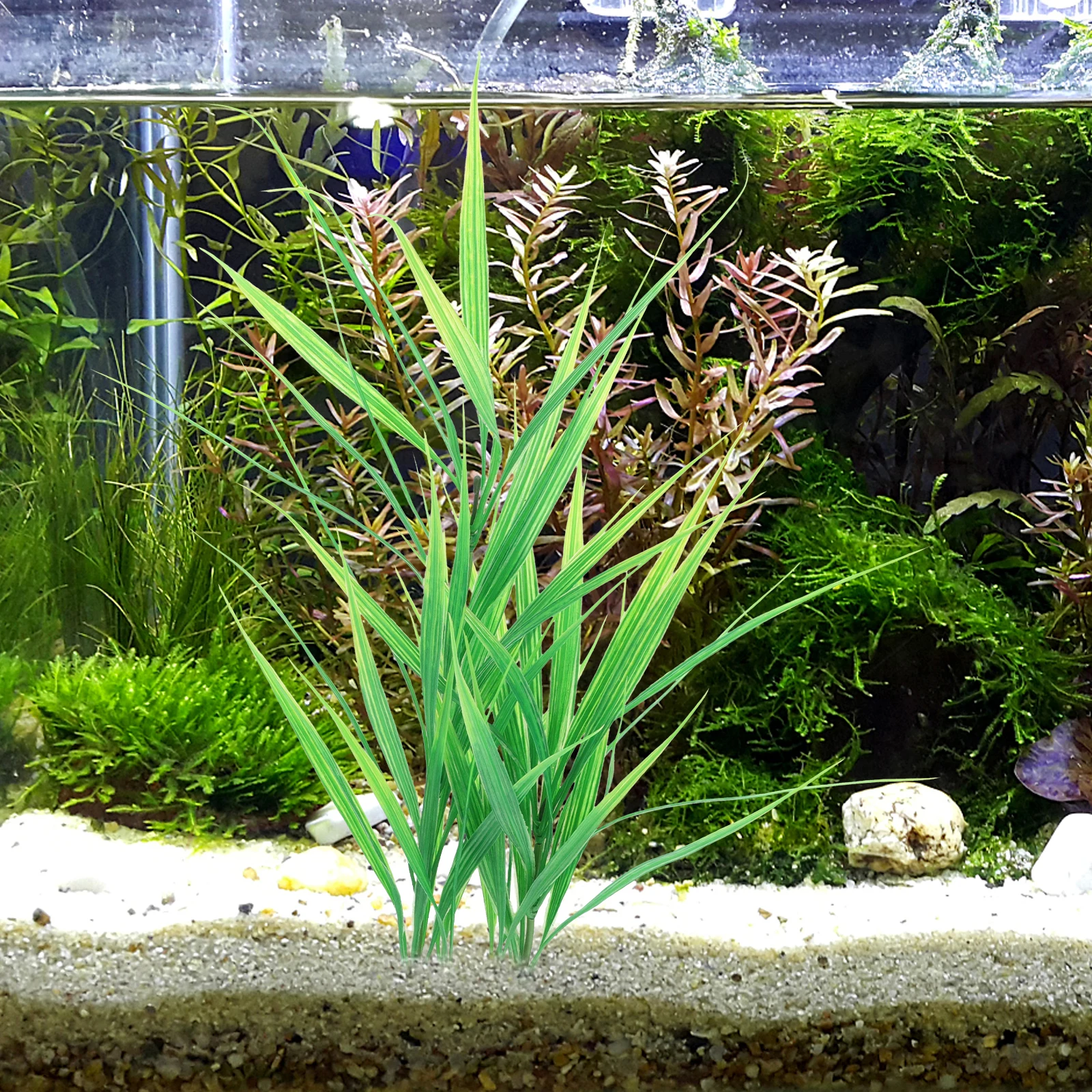 Simulated Decorative Aquarium Plants Plastic Artificial Betta Fish Tank Decoration Mini Landscape Grass Aquatic Habitat
Simulated Decorative Aquarium Plants Plastic Artificial Betta Fish Tank Decoration Mini Landscape Grass Aquatic Habitat