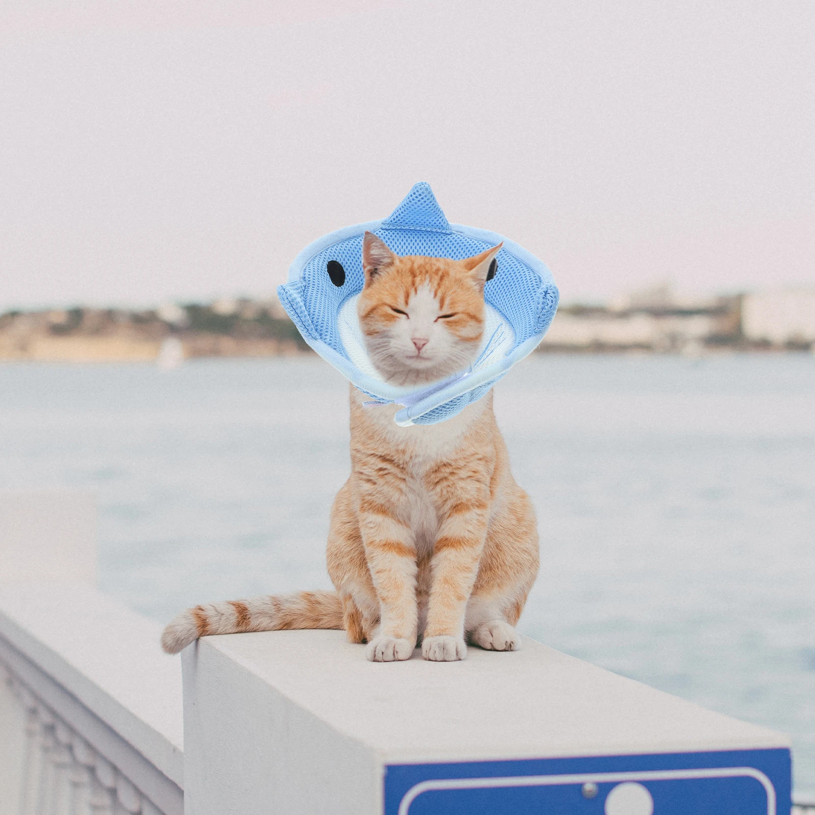 Cat Recovery Collar Soft Cone for Cats Kitten Dog Pillow After Surgery Breathable Adjustable Neck Pet Friendly Durable Cloth 
Cat Recovery Collar Soft Cone for Cats Kitten Dog Pillow After Surgery Breathable Adjustable Neck Pet Friendly Durable Cloth