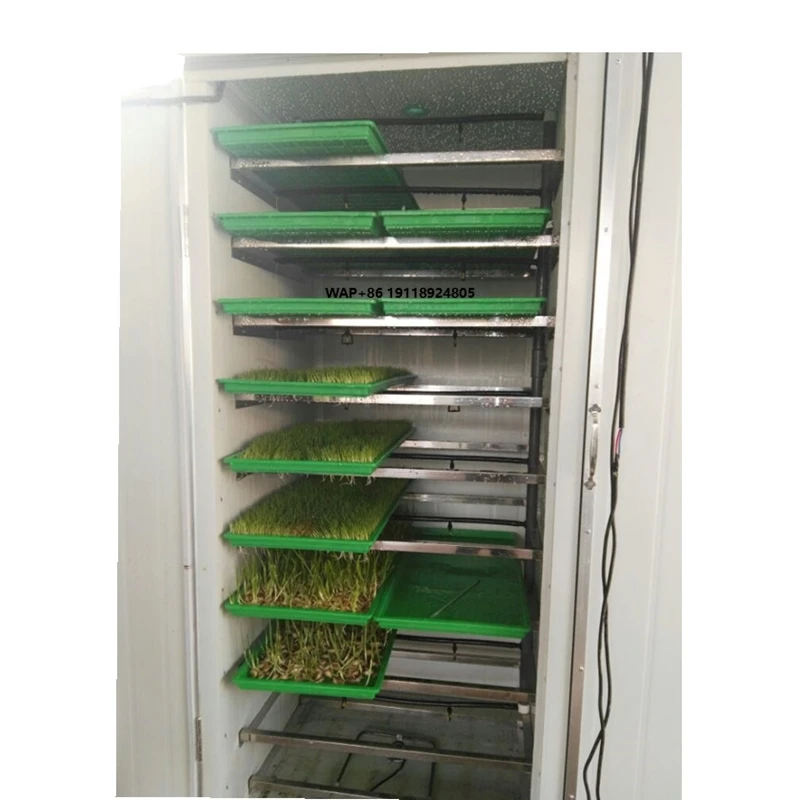 New Design 25kg/day Livestocks Green Fodder Hydroponic Fodder Making Machine Hydroponic Growing Systems
New Design 25kg/day Livestocks Green Fodder Hydroponic Fodder Making Machine Hydroponic Growing Systems