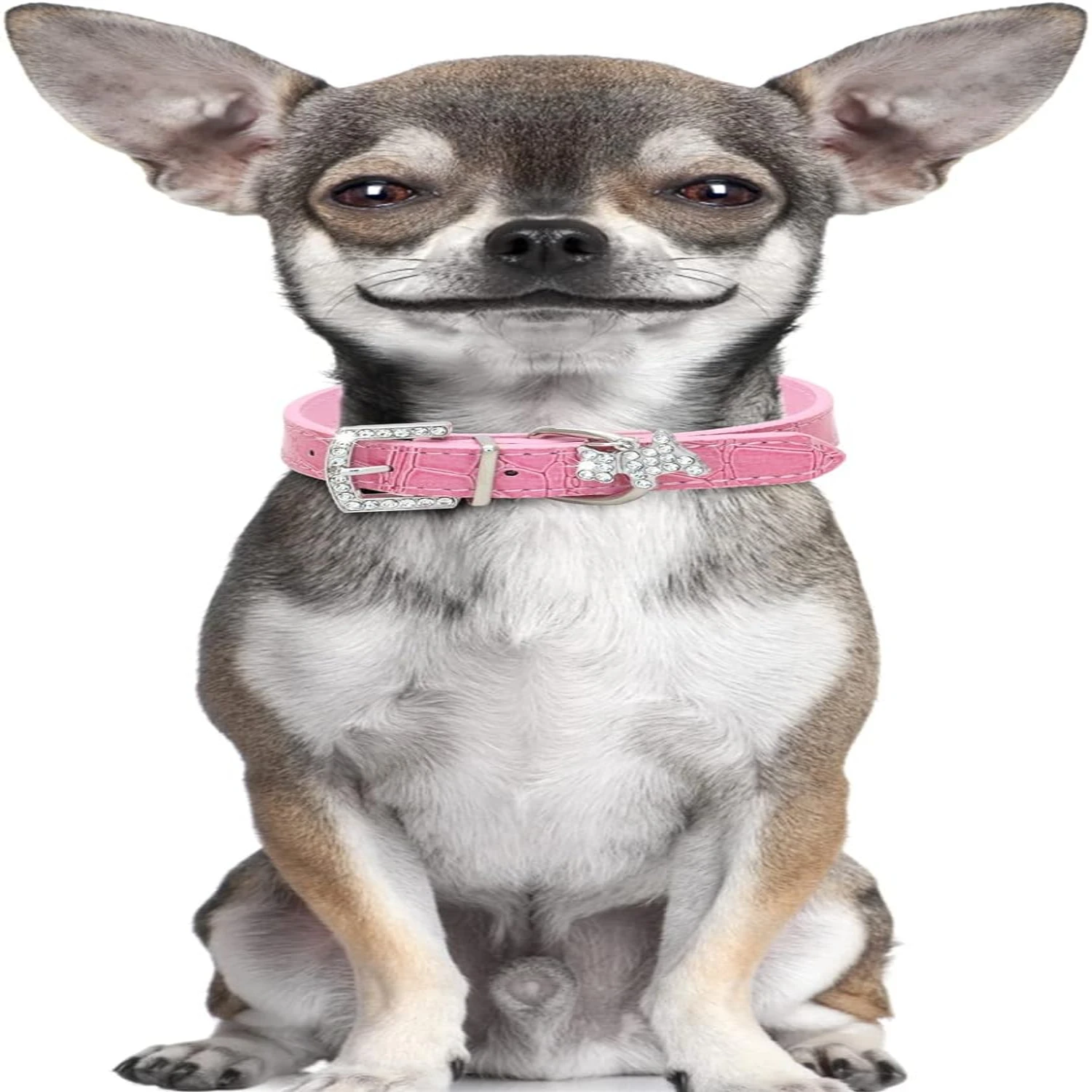 Pampered Adjustable Thanksgiving Breakaway Collar for Small Pets - Stylish Soft Pu Leather Dog Collar with Elegant Cat and Puppy
Pampered Adjustable Thanksgiving Breakaway Collar for Small Pets - Stylish Soft Pu Leather Dog Collar with Elegant Cat and Puppy