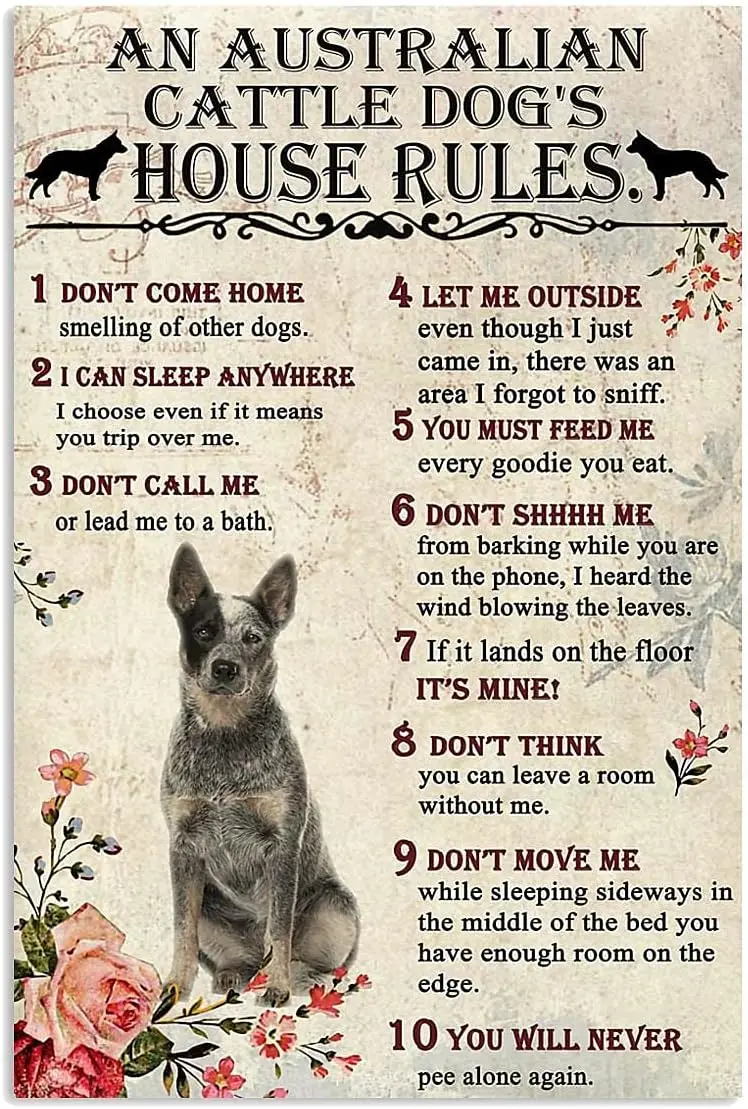 Металлическая табличка с правилами для дома для собак породы Australian Cattle Dog, металлический постер, настенный декор, жестяная табличка из алюминия
Металлическая табличка с правилами для дома для собак породы Australian Cattle Dog, металлический постер, настенный декор, жестяная табличка из алюминия