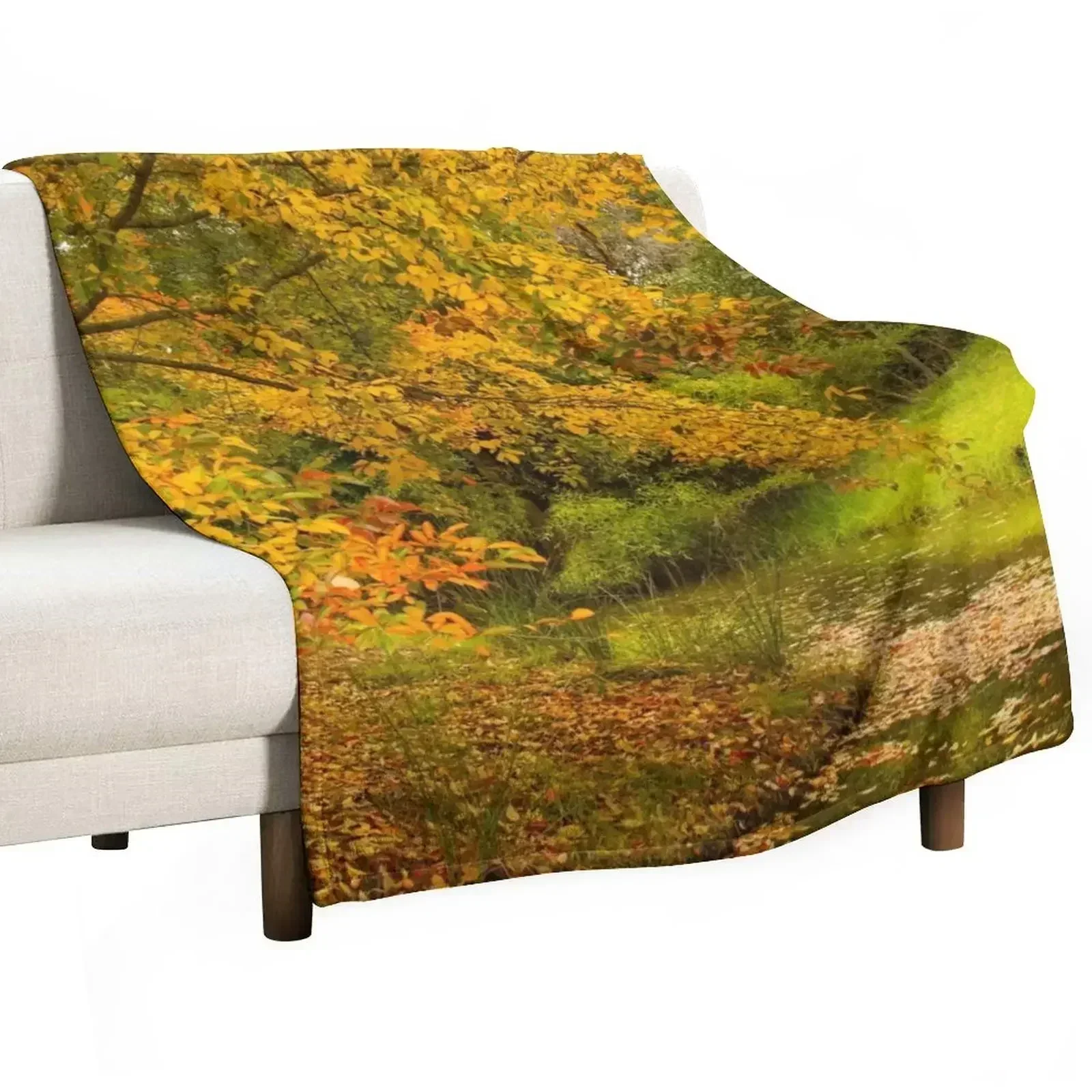 Autumn leaf colours on trees Throw Blanket Soft Plush Plaid Plaid for sofa Plaid on the sofa Blankets
Autumn leaf colours on trees Throw Blanket Soft Plush Plaid Plaid for sofa Plaid on the sofa Blankets