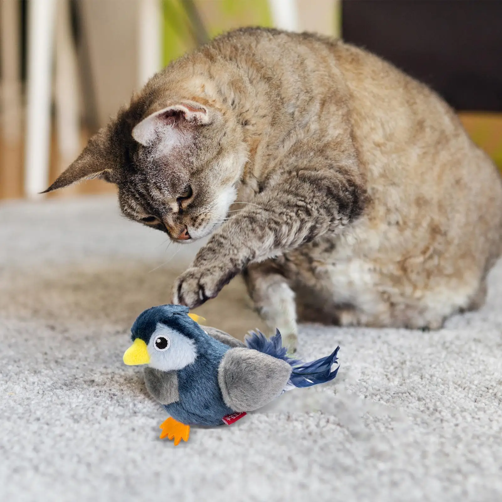 Игрушка для птиц и кошек, яркие интерактивные игрушки для упражнений для кошек, креативная игра-тизер, палочка для збагашения, время игр, дома, путешествий, внутренняя скука
Игрушка для птиц и кошек, яркие интерактивные игрушки для упражнений для кошек, креативная игра-тизер, палочка для збагашения, время игр, дома, путешествий, внутренняя скука