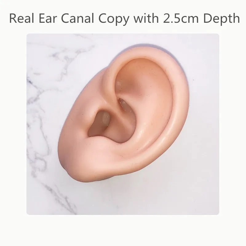 Ear Model Ear Acupuncture Model Ear 1:1 Life Size For Ear Acupuncture Press Needle
Ear Model Ear Acupuncture Model Ear 1:1 Life Size For Ear Acupuncture Press Needle