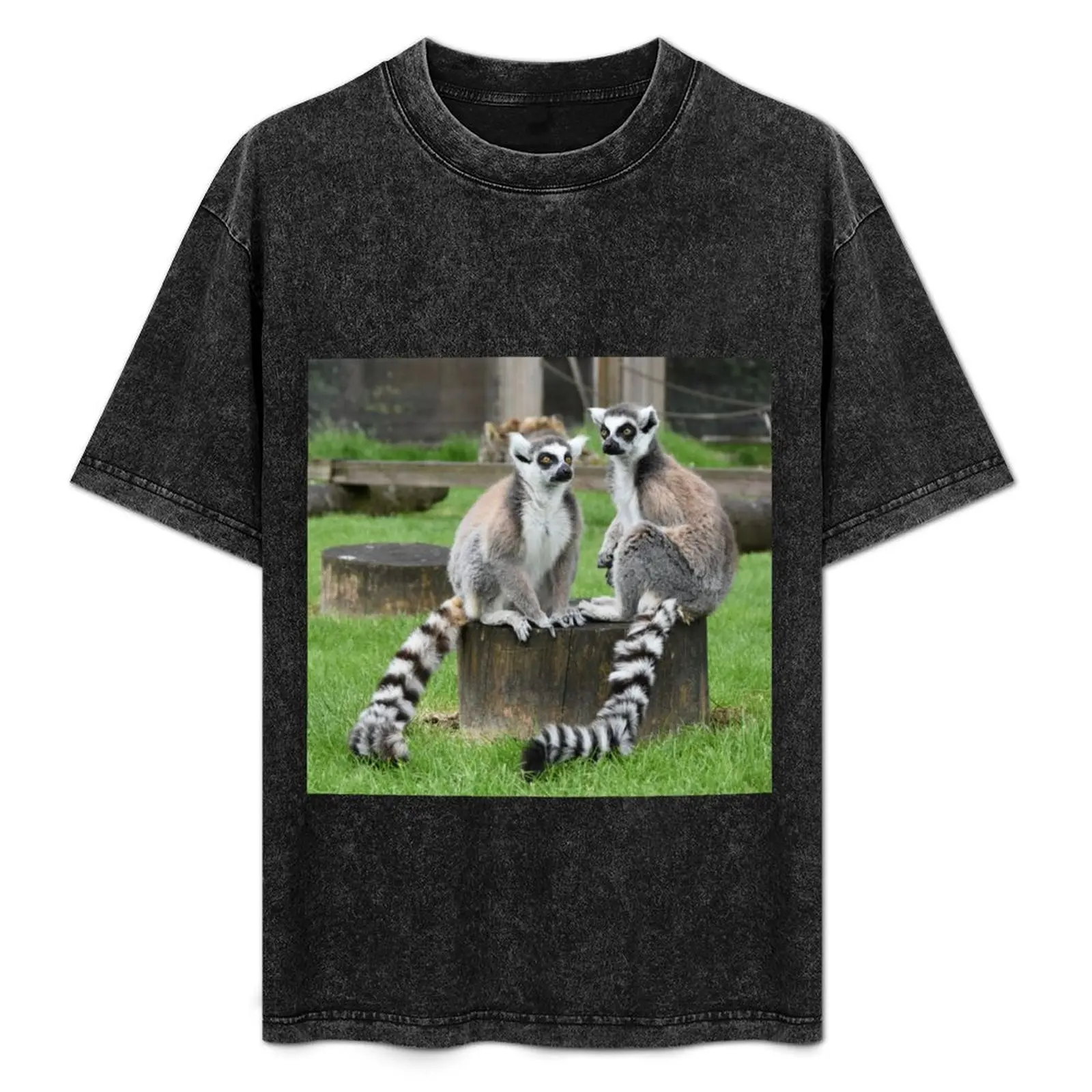 Ringtail lemur duo on log T-Shirt Industrial Work Tee Shirt
Ringtail lemur duo on log T-Shirt Industrial Work Tee Shirt