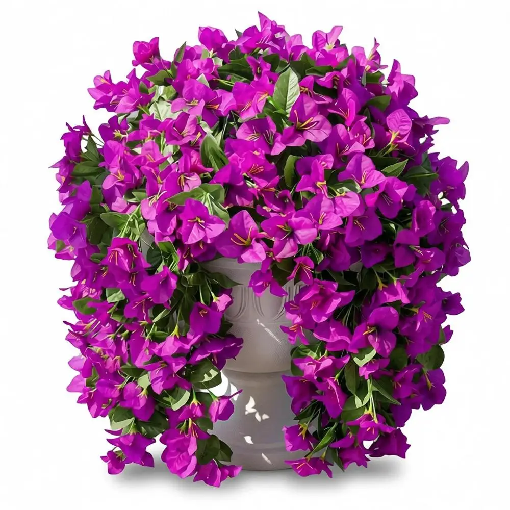 Artificial UV-Resistant Silk Bougainvillea Plants, 2 Pack, Long Trailing Vines for Outdoor Door Porch, Patio Garden Decor
Artificial UV-Resistant Silk Bougainvillea Plants, 2 Pack, Long Trailing Vines for Outdoor Door Porch, Patio Garden Decor
