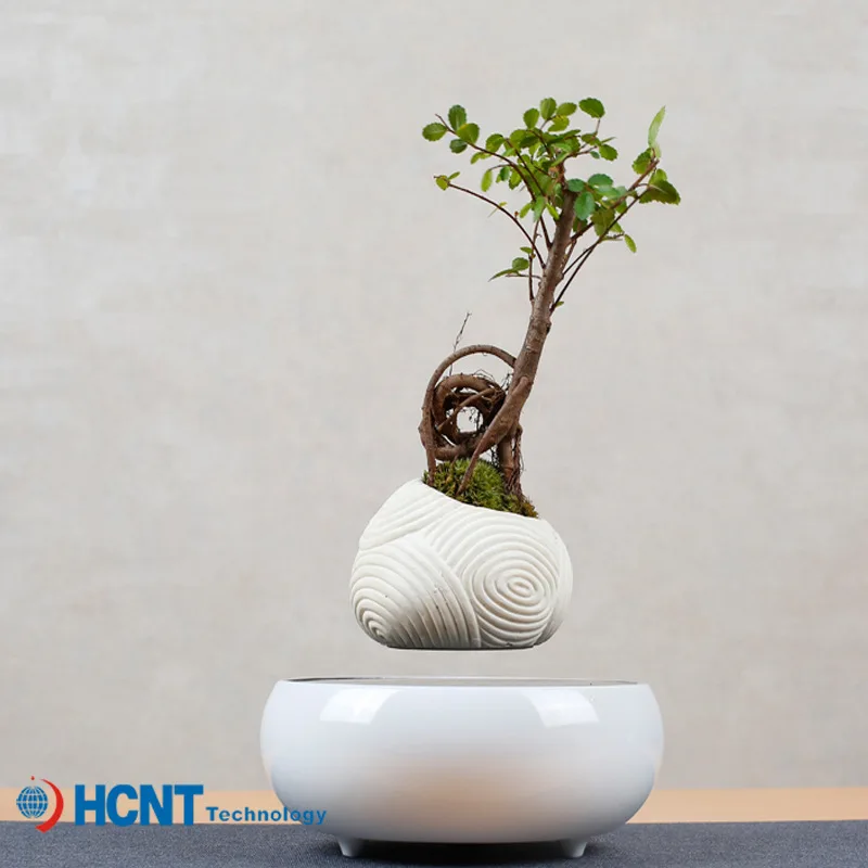 Magnetic suspension potted plant aerial suspension bonsai, creative aerial potted plant ornament, magnetic suspension rotating p
Magnetic suspension potted plant aerial suspension bonsai, creative aerial potted plant ornament, magnetic suspension rotating p