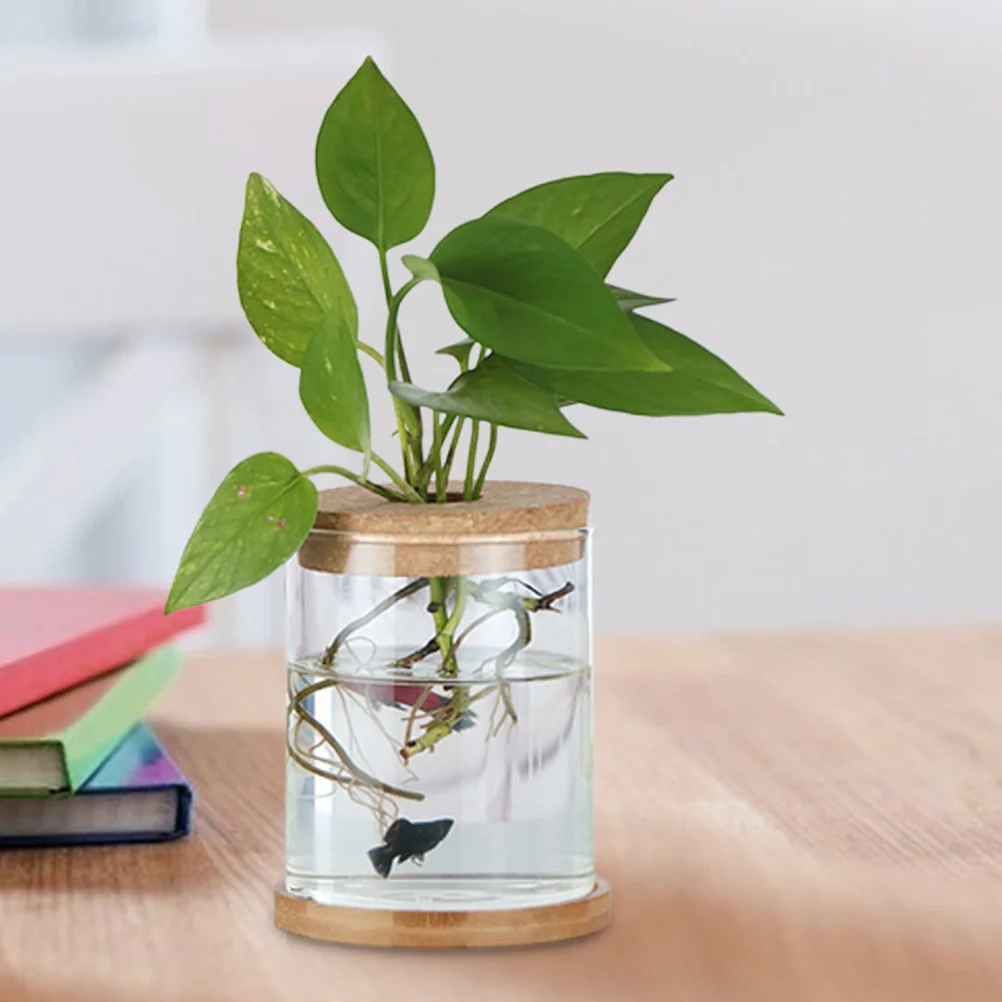 6Pcs Hydroponic Cork Lid for Glass Planter Vase Wooden Tapered Plug Micro Landscape Wall Hanging Terrarium Supplies Indoor Plant
6Pcs Hydroponic Cork Lid for Glass Planter Vase Wooden Tapered Plug Micro Landscape Wall Hanging Terrarium Supplies Indoor Plant