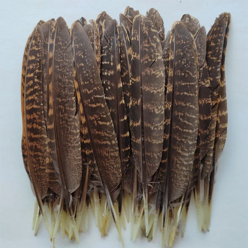 50Pieces 6-8" Natural Tragopan Pheasant Quill Feathers,Pheasant Quill Wings for hats, earrings,Decor DIY Decoration
50Pieces 6-8" Natural Tragopan Pheasant Quill Feathers,Pheasant Quill Wings for hats, earrings,Decor DIY Decoration