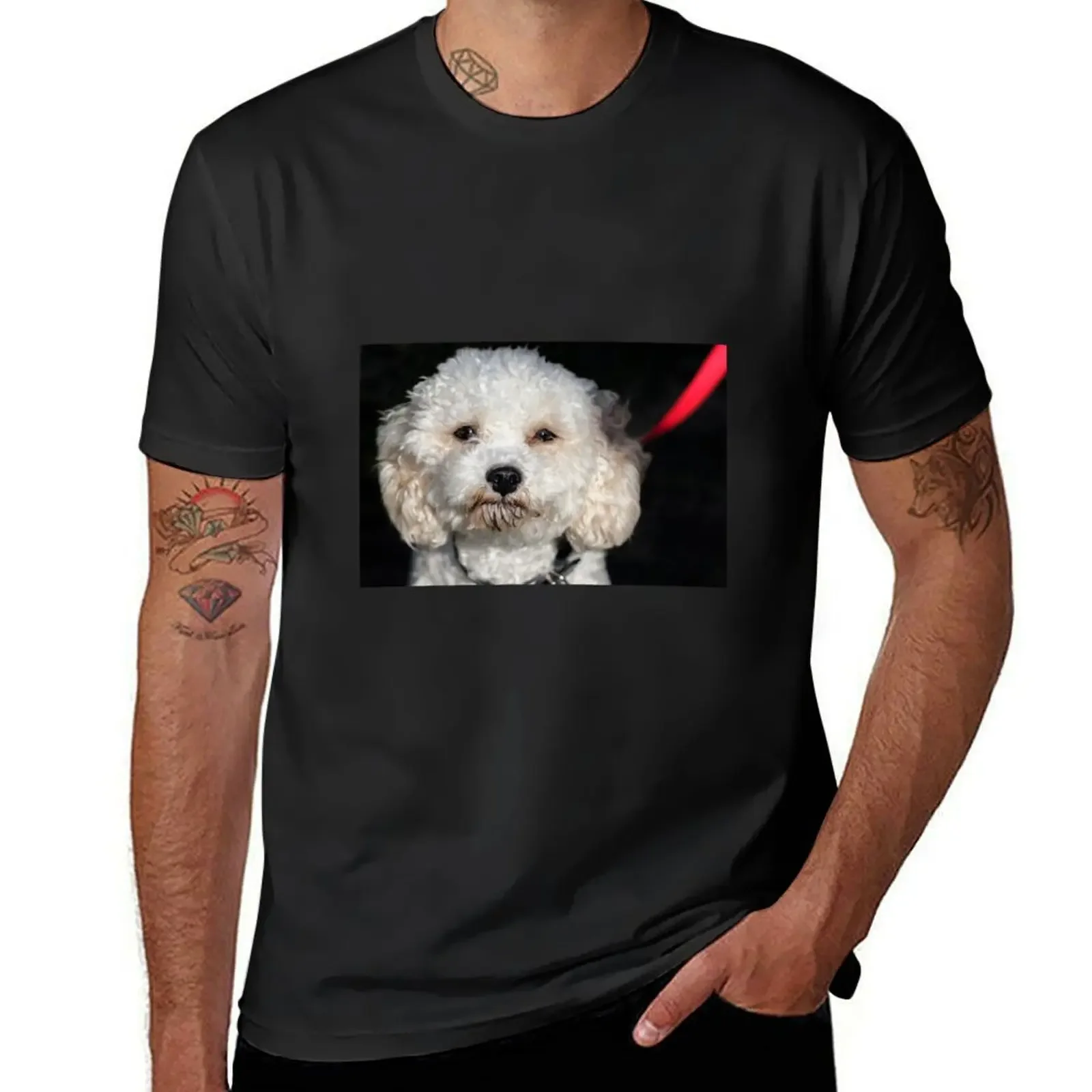 Cavachon. T-Shirt T-shirts man korean fashion Louboutins summer tops Men's t-shirts
Cavachon. T-Shirt T-shirts man korean fashion Louboutins summer tops Men's t-shirts