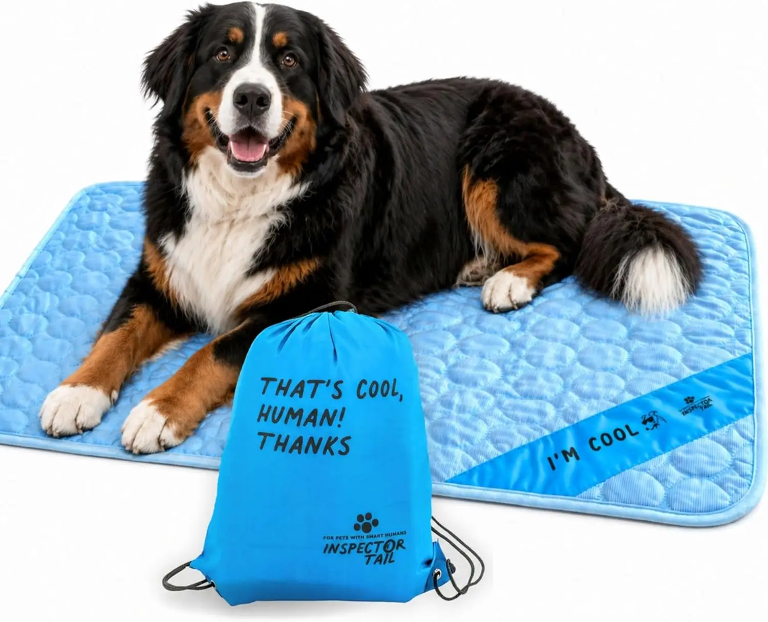 Summer Dog Cooling Mat, Self-cooling No Water Needed, Extra Large, Washable & Portable for Indoor & Outdoor
Summer Dog Cooling Mat, Self-cooling No Water Needed, Extra Large, Washable & Portable for Indoor & Outdoor
