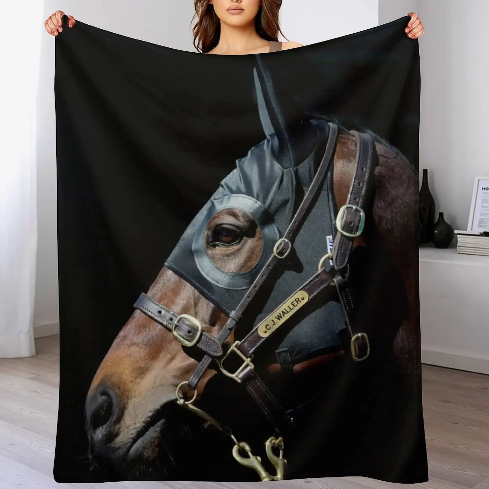 Winx - Racehorse Throw Blanket Flannel Fleece Soft Warm Throw Blanket
Winx - Racehorse Throw Blanket Flannel Fleece Soft Warm Throw Blanket