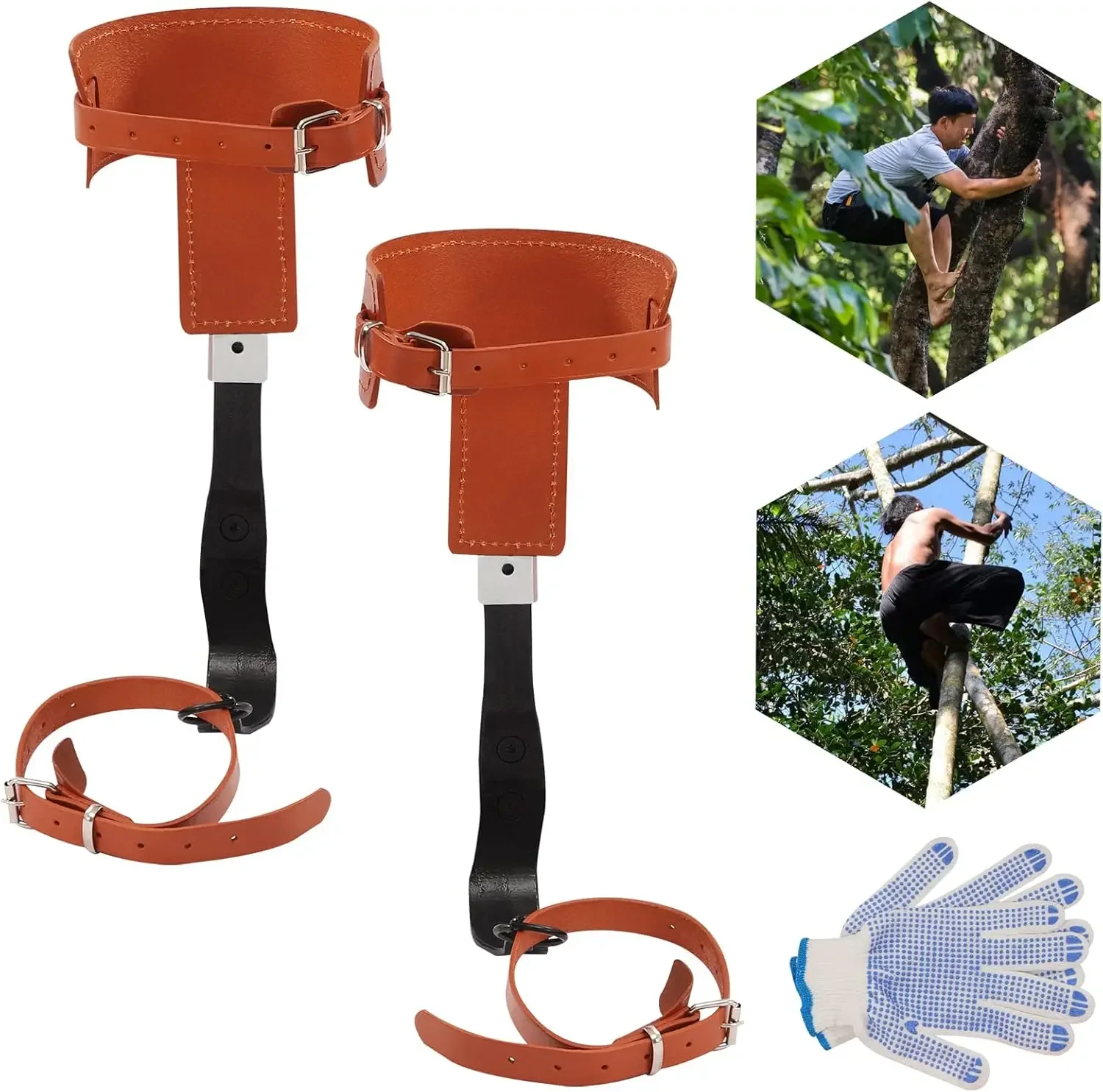Climbing Tree Spikes Stainless Steel Climbing Trees Gears with Cattle Hide Leggings Straps and Extra Multi-Functional Straps
Climbing Tree Spikes Stainless Steel Climbing Trees Gears with Cattle Hide Leggings Straps and Extra Multi-Functional Straps
