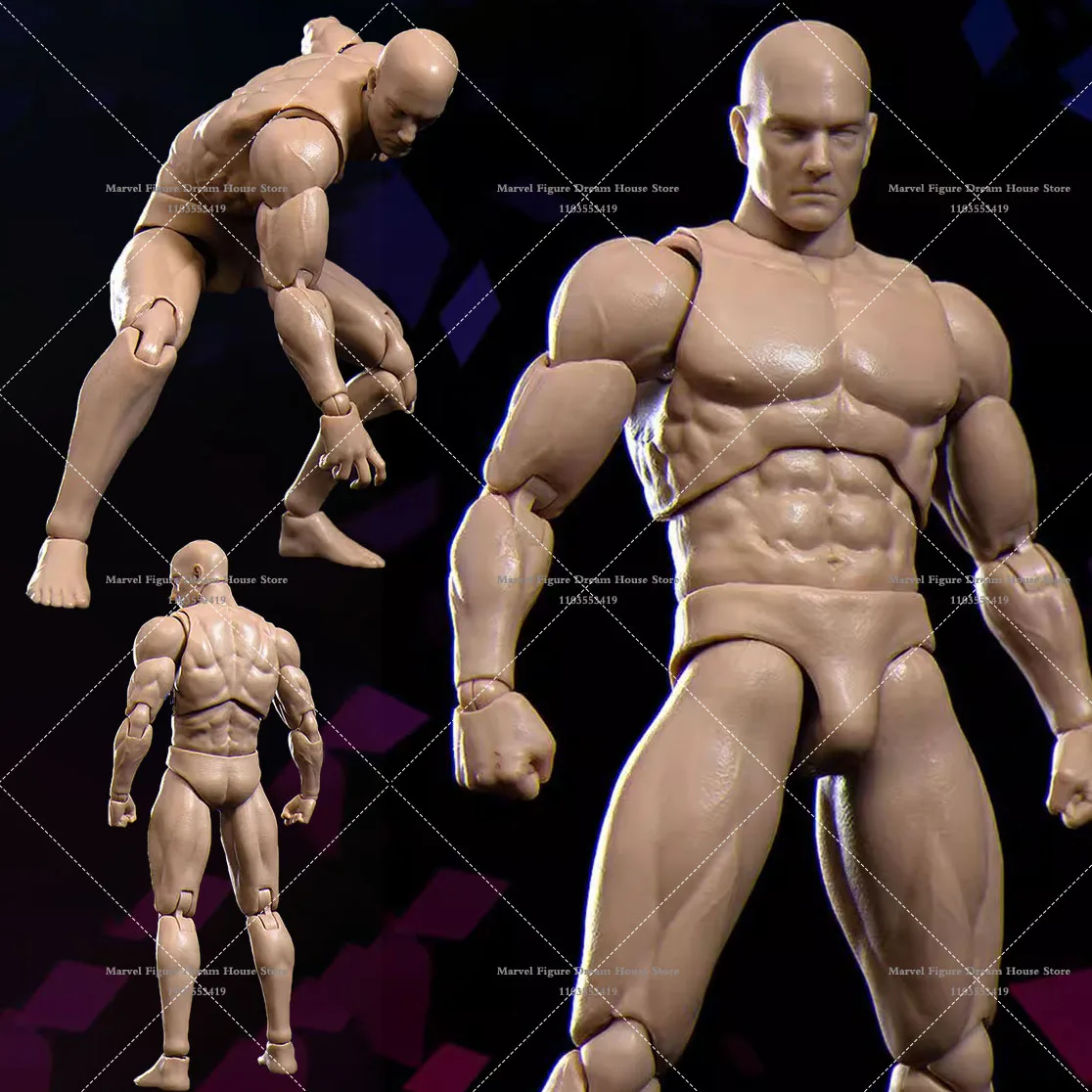 VTOYS BMS 1/12 Scale Collectible Super Flexible Movable Strong Muscle Comics ZERO Joint Action Figure Head Body for Fans
VTOYS BMS 1/12 Scale Collectible Super Flexible Movable Strong Muscle Comics ZERO Joint Action Figure Head Body for Fans