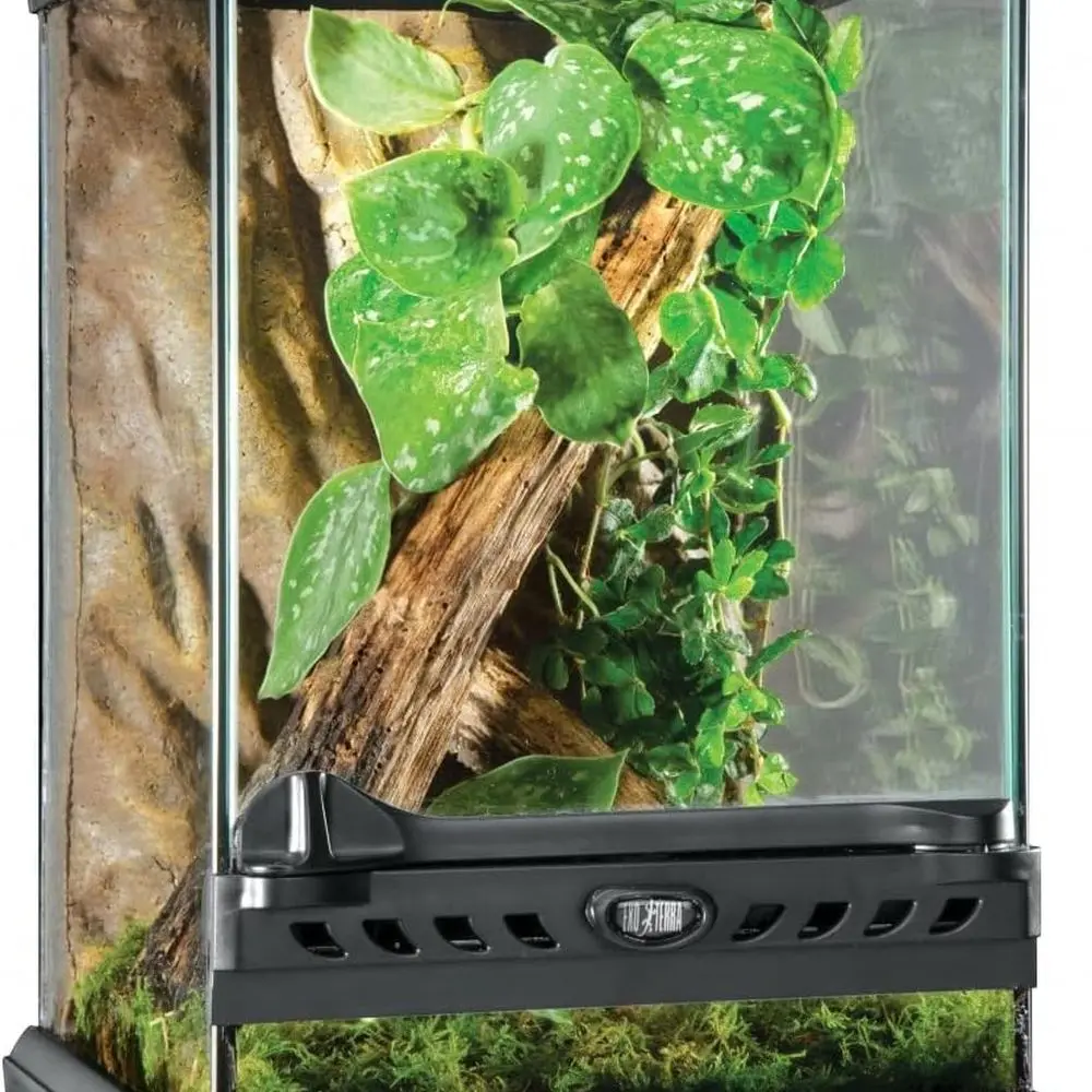 Glass Natural Terrarium Kit, for Reptiles and Amphibians, Nano Tall, 8 x 8 x 12 inches, PT2601A1
Glass Natural Terrarium Kit, for Reptiles and Amphibians, Nano Tall, 8 x 8 x 12 inches, PT2601A1