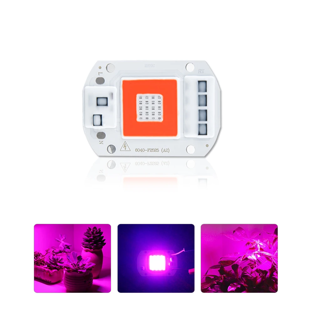 Red And Blue LED COB Chip for Plant Growing Light Phyto Lamp Full Spectrum 220V 110V 20W 30W 50W Indoor Greenhouse Hydroponics
Red And Blue LED COB Chip for Plant Growing Light Phyto Lamp Full Spectrum 220V 110V 20W 30W 50W Indoor Greenhouse Hydroponics
