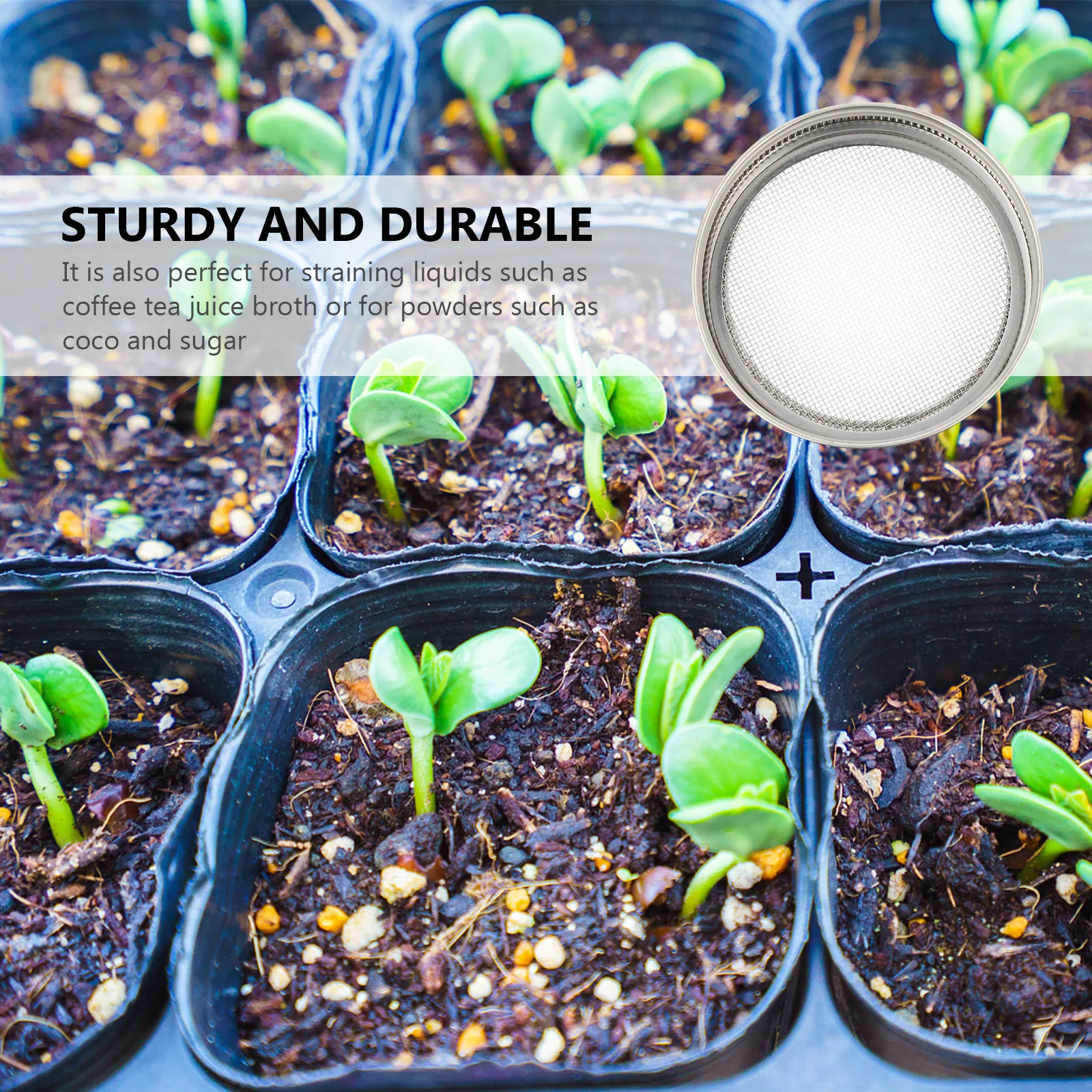 3Pcs Stainless Steel Sprouting Lid Strainer for Regular Mouth Mason Jars Sprout Beans Seeds Coffee Tea Juice Broth Powder
3Pcs Stainless Steel Sprouting Lid Strainer for Regular Mouth Mason Jars Sprout Beans Seeds Coffee Tea Juice Broth Powder
