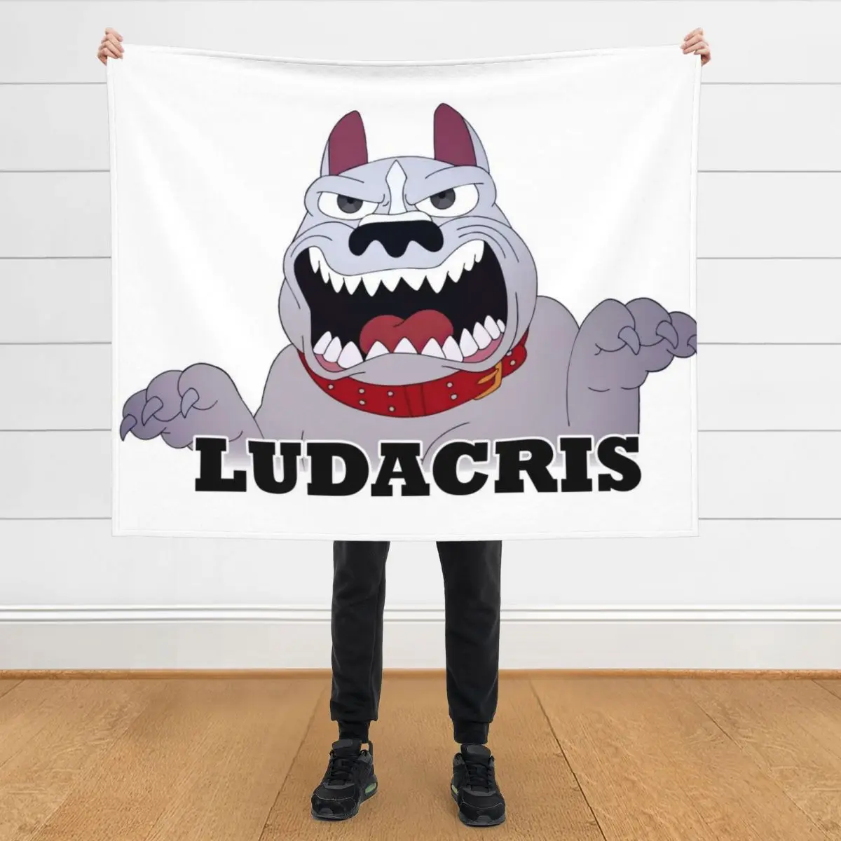 BIG MOUTH Featuring Ludacris Pitbull Throw Blanket wednesday Stuffeds anime Flannels Blankets
BIG MOUTH Featuring Ludacris Pitbull Throw Blanket wednesday Stuffeds anime Flannels Blankets
