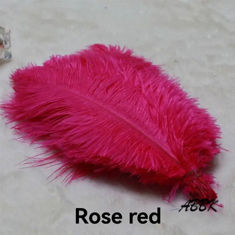 ABBK-20-25Cm Ostrich Feathers Stage Performances Feathers Handmade DIY Jewelry Decorations Ostrich Feathers
ABBK-20-25Cm Ostrich Feathers Stage Performances Feathers Handmade DIY Jewelry Decorations Ostrich Feathers