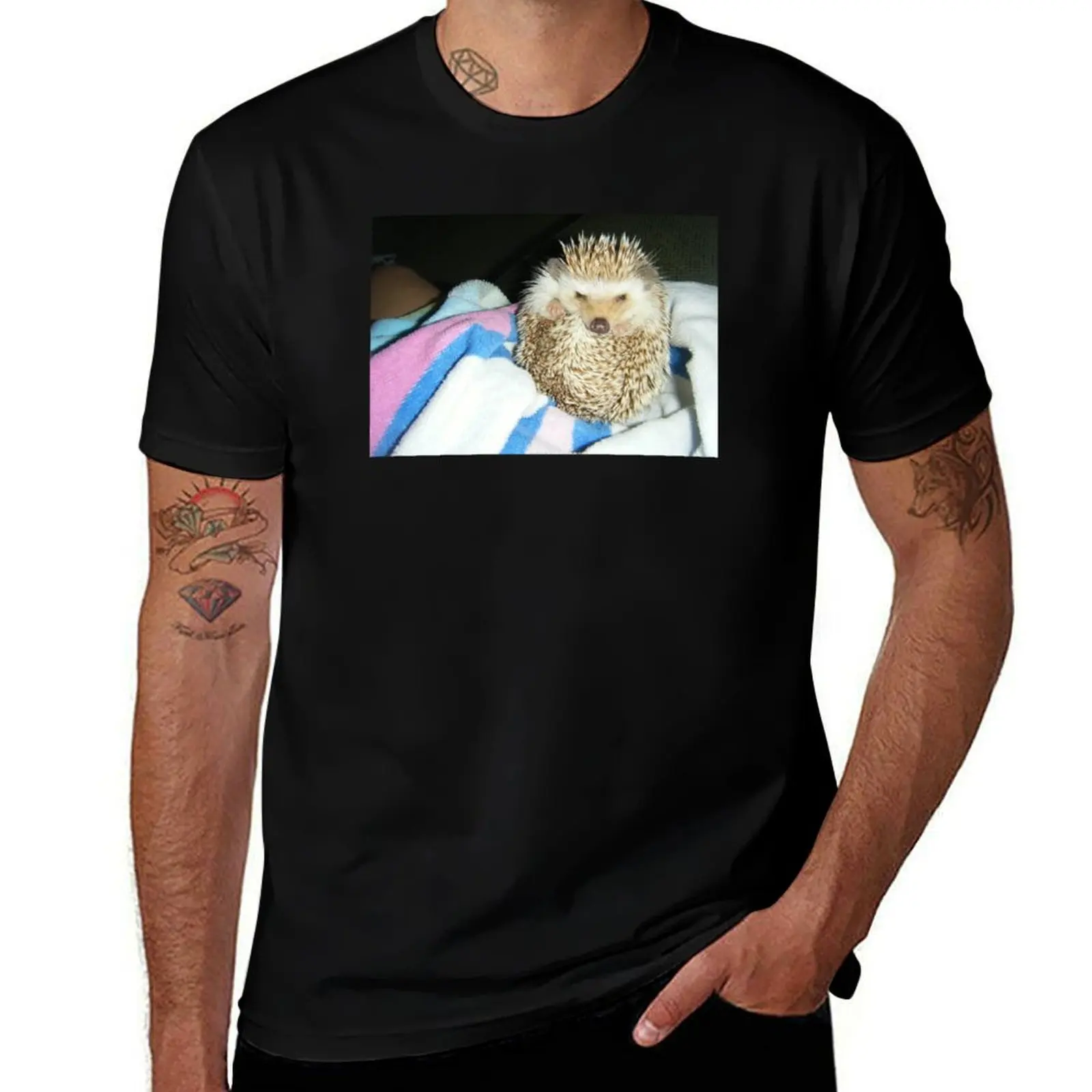 Very Round Much Round Hedgehog T-Shirt Aesthetic clothing anime plain mens designer t shirt
Very Round Much Round Hedgehog T-Shirt Aesthetic clothing anime plain mens designer t shirt