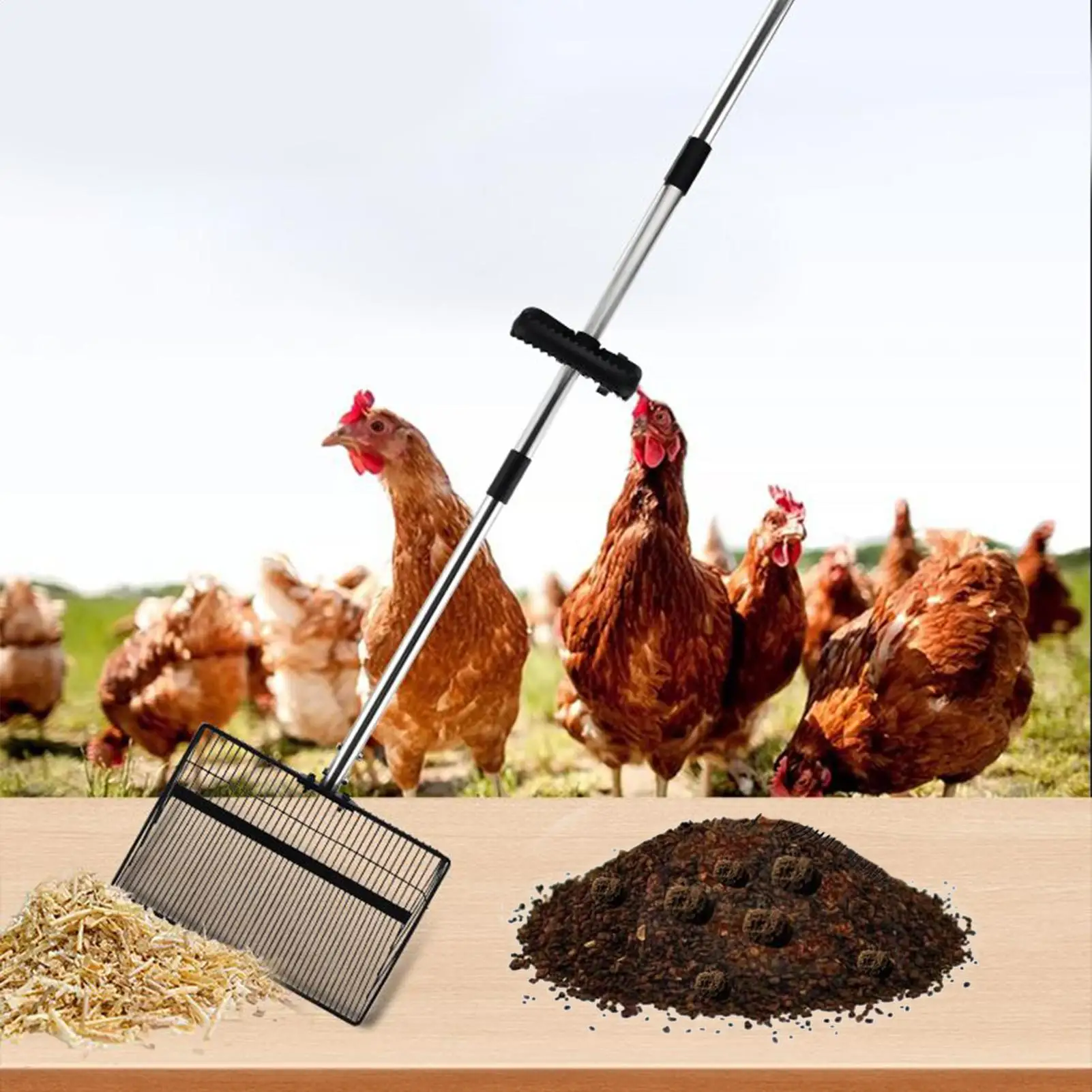 Chicken Coop Rake Retractable Cat Litter Scoop Chicken Coop Cleaning Tools Poop Shovel Garden Separating Poop And Debris Tools
Chicken Coop Rake Retractable Cat Litter Scoop Chicken Coop Cleaning Tools Poop Shovel Garden Separating Poop And Debris Tools
