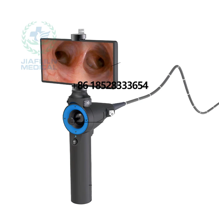 Flexible veterinary gastroscope endoscope / Vet endoscopy for cat dog horse and dolphin
Flexible veterinary gastroscope endoscope / Vet endoscopy for cat dog horse and dolphin