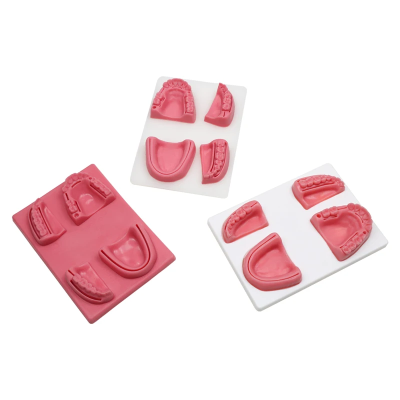 Dental Oral/Gum Suture Training Module Simulation Oral Suture Models Dental Model
Dental Oral/Gum Suture Training Module Simulation Oral Suture Models Dental Model