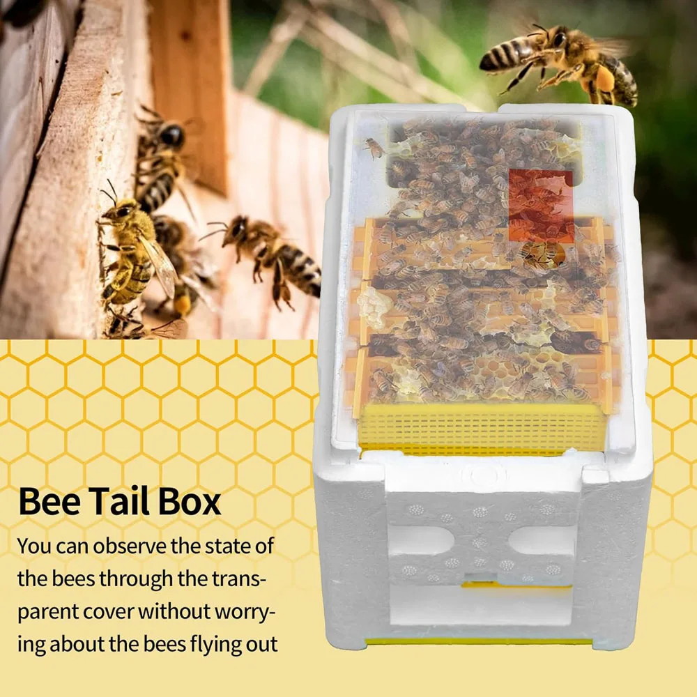 Beekeeping Foam Queen Rearing Box Pollination Tool for Bees Hive Management Essential Beekeeper Equipment
Beekeeping Foam Queen Rearing Box Pollination Tool for Bees Hive Management Essential Beekeeper Equipment