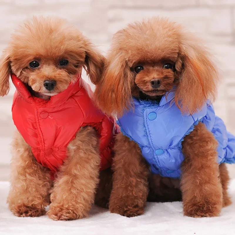 Warm Winter Pet Down Jacket, Puppy Coats, Small Dogs, Chihuahua, French Bulldog, Cats, Pet Costume, Fun, New
Warm Winter Pet Down Jacket, Puppy Coats, Small Dogs, Chihuahua, French Bulldog, Cats, Pet Costume, Fun, New